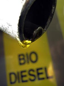 BIODIESEL IN INDIA - BIODIESEL IN KOLKATA - BIOFUEL DEALERS IN INDIA - BIODIESEL SUPPLIERS IN INDIA - INDIAN SOLAR COMPANY SELLS BIODIESEL IN DELHI