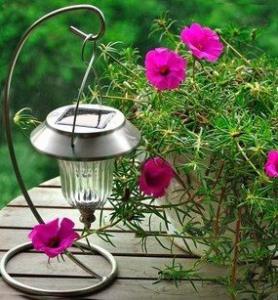 SOLAR LANTERN LIGHTS