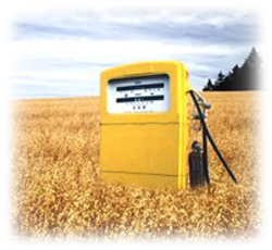 Biofuel Companies in India