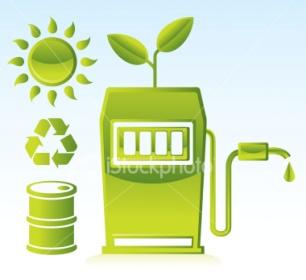 Biofuel Companies in India