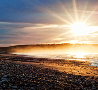 Solar Companies India