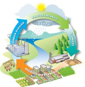 Bio Fuel Energy in India