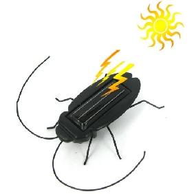 Solar Cockroach