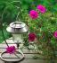 SOLAR LANTERN LIGHTS