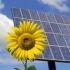 Top 10 Successful Solar Companies in India
