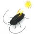 Solar Cockroach